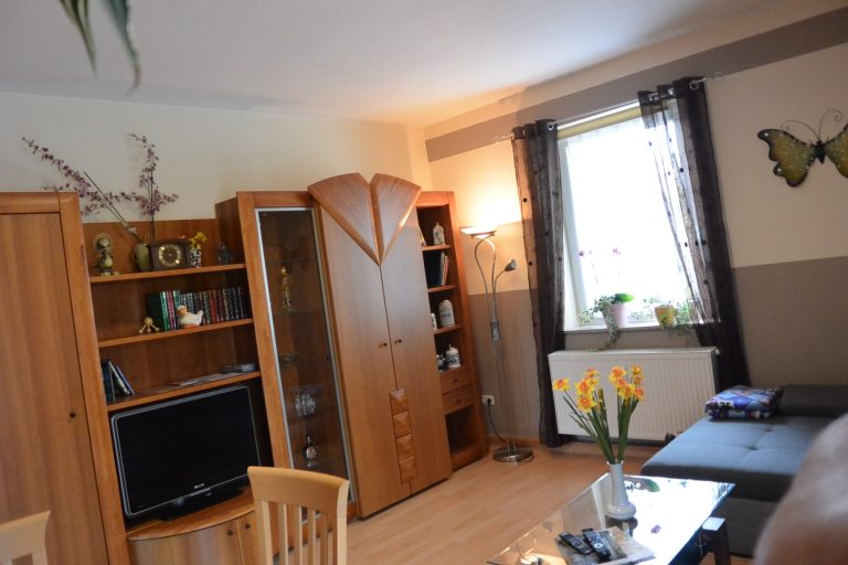 Wohn-/Ess-/Schlafzimmer mit Schlafsofa